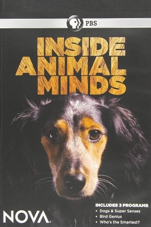 Inside Animal Minds poszter