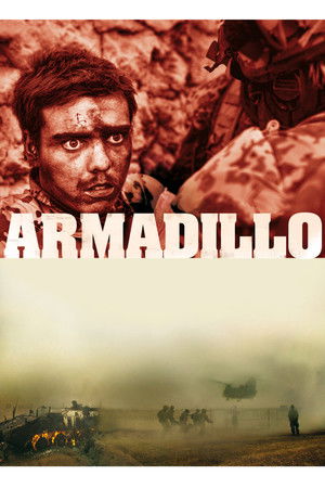 Armadillo poszter