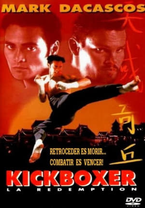 Kickboxer 5. - Az igazság nevében poszter