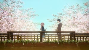 Koe no Katachi háttérkép