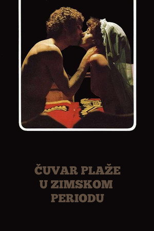 Čuvar plaže u zimskom periodu poszter