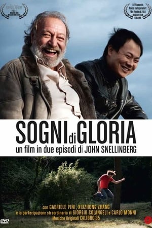 Sogni di gloria poszter