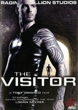 The Visitor