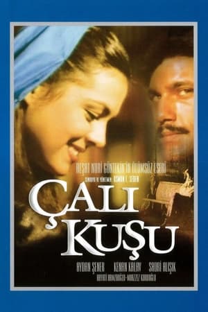 Çalıkuşu poszter