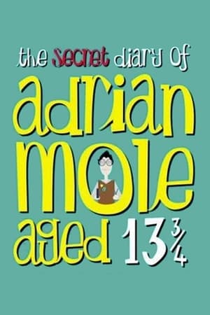 A 13 és 34 éves Adrian Mole titkos naplója poszter