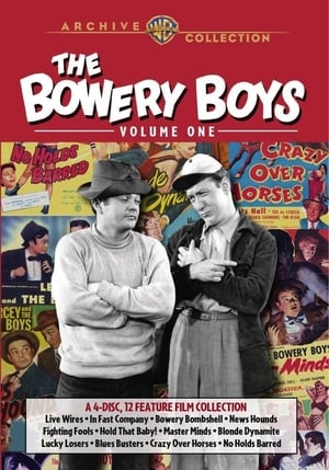 The Bowery Boys