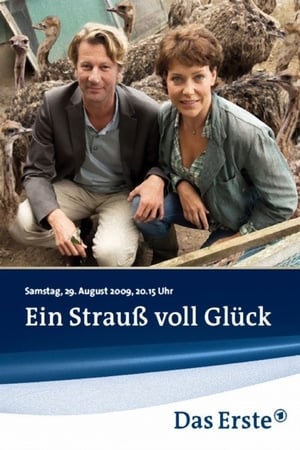 Ein Strauß voll Glück poszter