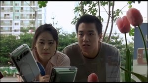 해바라기 háttérkép