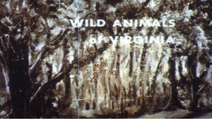 Wild Animals of Virginia háttérkép