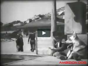 The Adventures of Rin Tin Tin 1. évad Ep.1 1. epizód