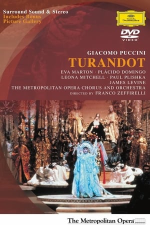 Turandot poszter