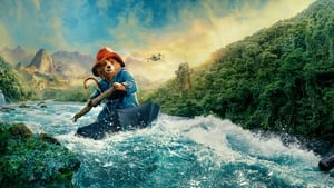 Paddington Peruban háttérkép