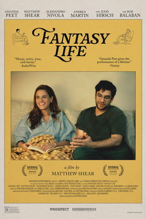 Fantasy Life poszter
