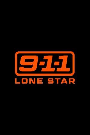 911-Texas poszter