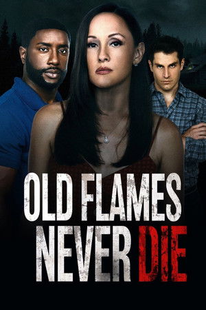 Old Flames Never Die poszter