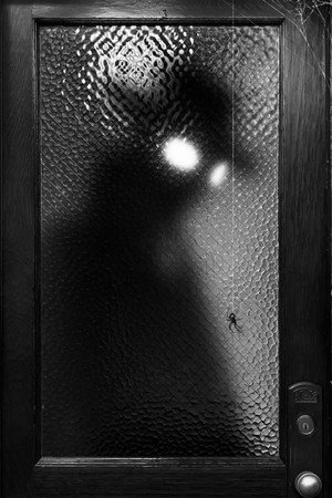 A Pók: Noir poszter