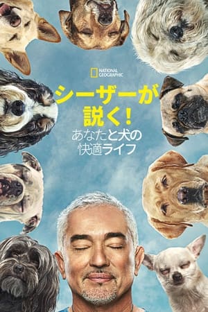 Cesar Millan: Jó gazdi, jó kutya poszter