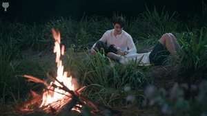 หวานใจผู้ใหญ่จอม kép