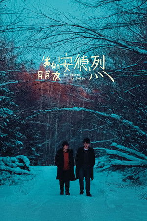 我的朋友安德烈 poszter