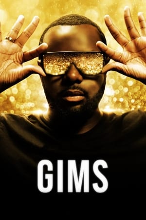 A sokszínű Maitre Gims