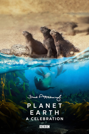 Planet Earth: A Celebration poszter