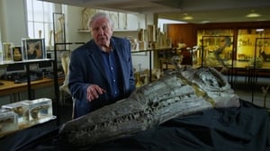 Attenborough and the Sea Dragon háttérkép