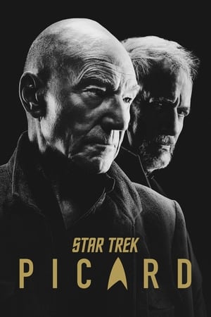 Star Trek: Picard poszter