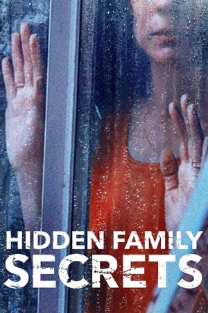 Hidden Family Secrets poszter