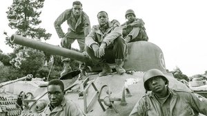 Black Panthers of WWII háttérkép
