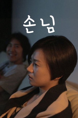 손님 poszter