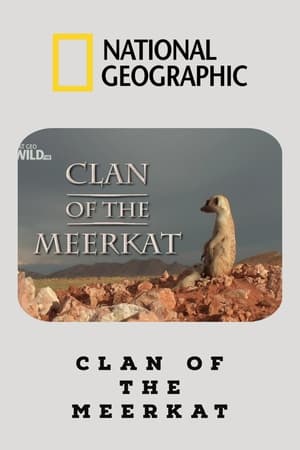 Clan of the Meerkat poszter