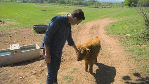 Countryfile 38. évad Ep.20 20. epizód