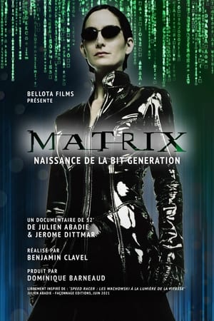 Matrix: Generation poszter