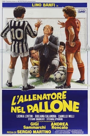 L'allenatore nel pallone poszter