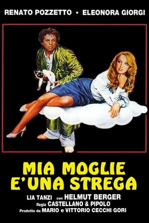 Mia moglie è una strega poszter