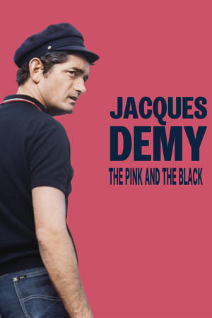 Jacques Demy, le rose et le noir poszter