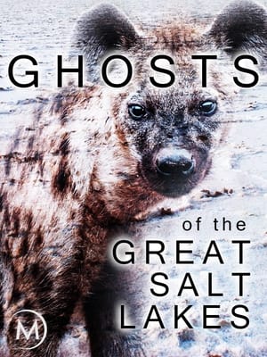 The Ghosts of the Great Salt Lake poszter