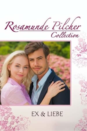 Rosamunde Pilcher: Ex und Liebe poszter