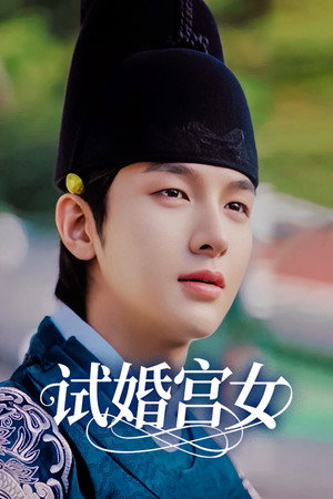 시혼궁녀 poszter