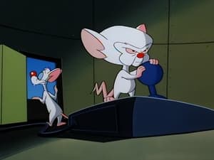 Pinky and the Brain 1. évad Ep.16 16. epizód