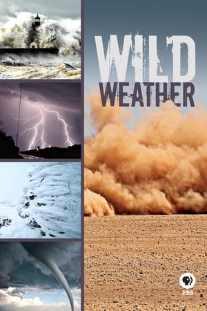 Wild Weather with Richard Hammond poszter