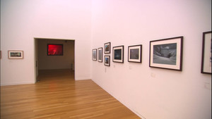 ジブリの絵職人 男鹿和雄展 トトロの森を描いた人 háttérkép