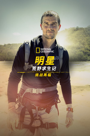 Bear Grylls - Sztárok a vadonban: A kihívás poszter