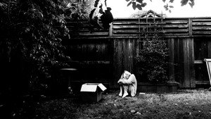 Silent Monologues háttérkép