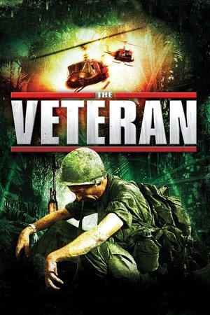 A veterán: Kísért a múlt poszter