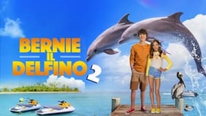 Bernie the Dolphin 2 háttérkép