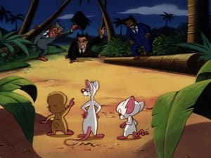 Pinky and the Brain 4. évad Ep.3 3. epizód