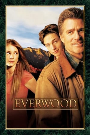 Everwood poszter