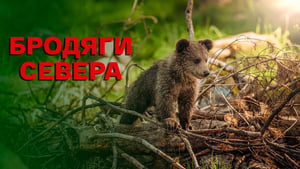 Бродяги Севера háttérkép