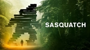 Sasquatch kép